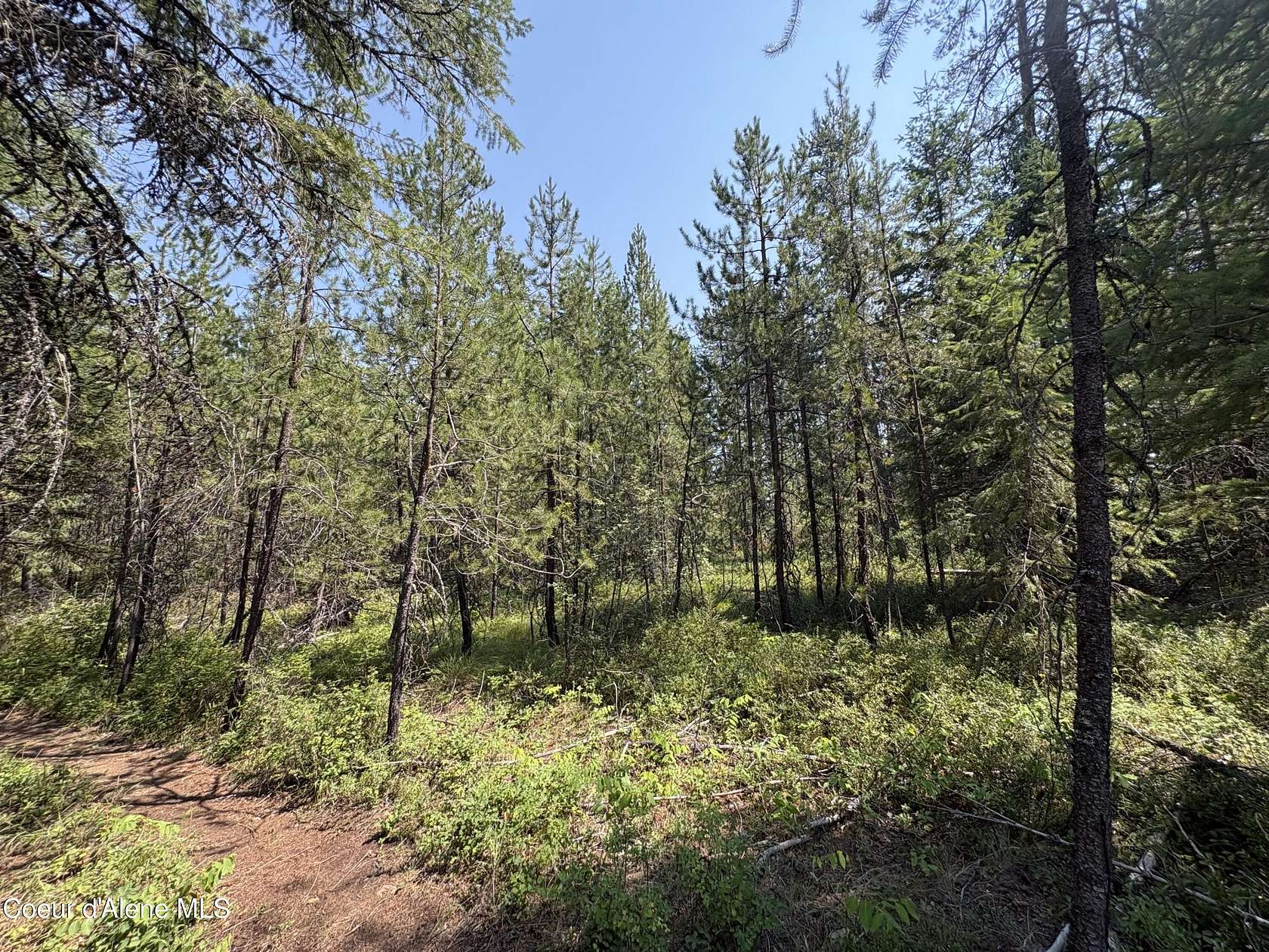 0.71 Acres of Residential Land for Sale in Spirit Lake, Idaho