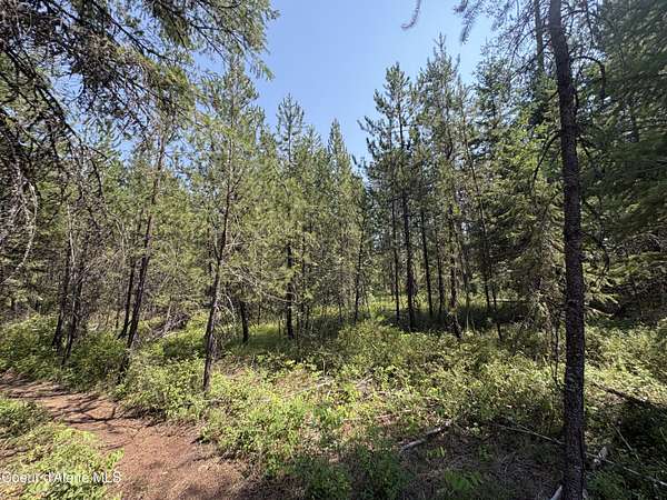 0.71 Acres of Residential Land for Sale in Spirit Lake, Idaho