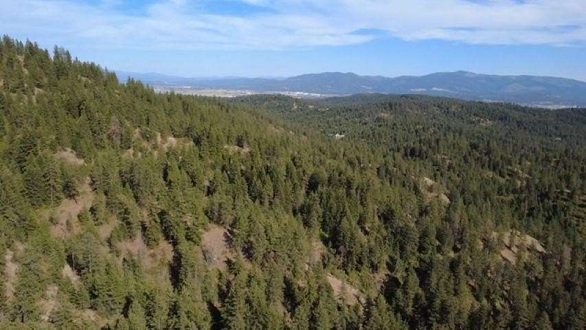 525 Acres of Recreational Land for Sale in Spokane, Washington