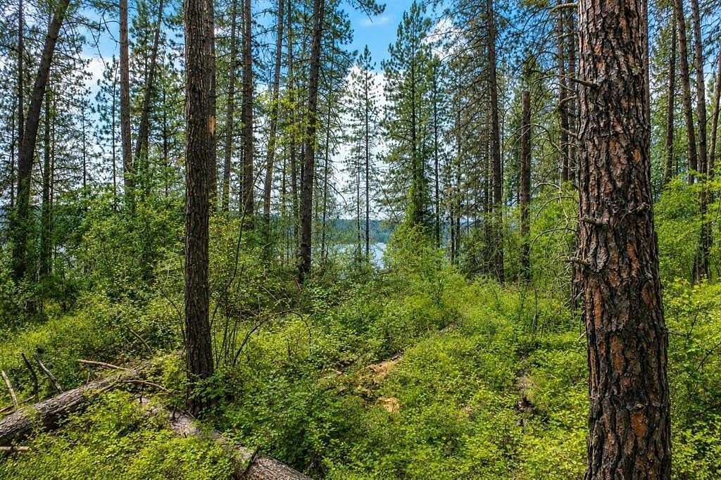 0.33 Acres of Land for Sale in Gifford, Washington