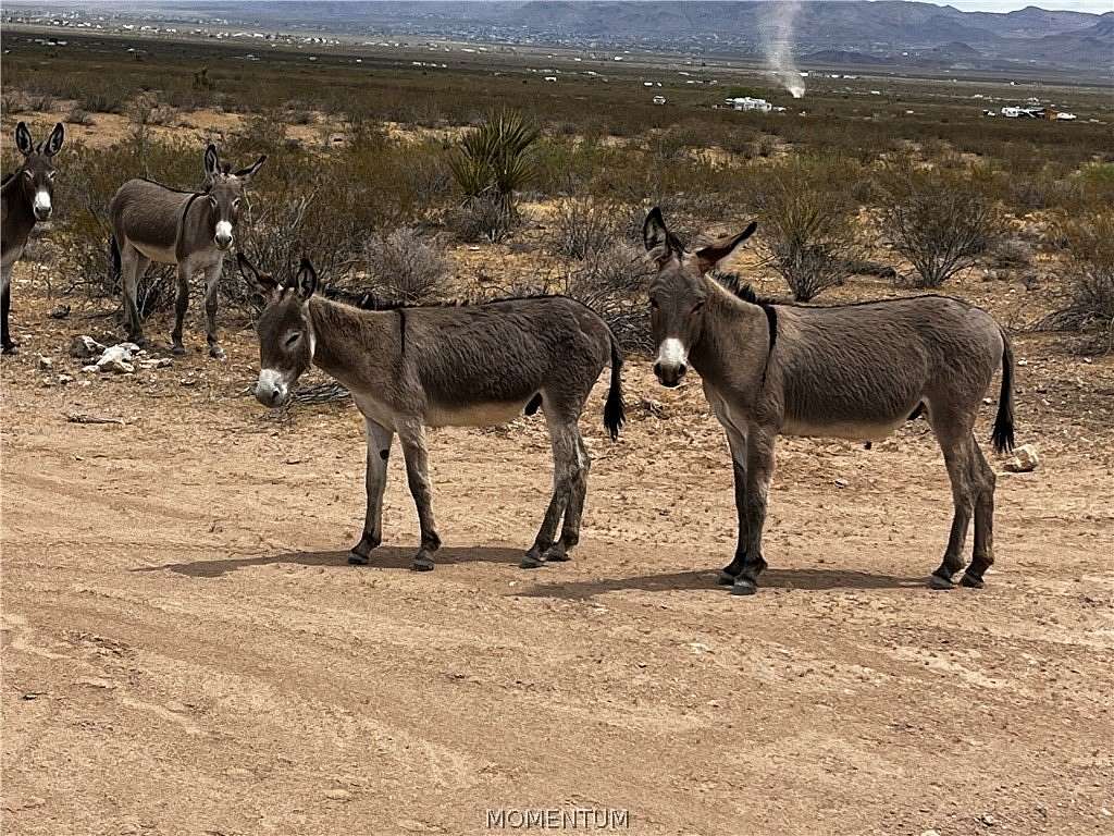 2.2 Acres of Commercial Land for Sale in Golden Valley, Arizona