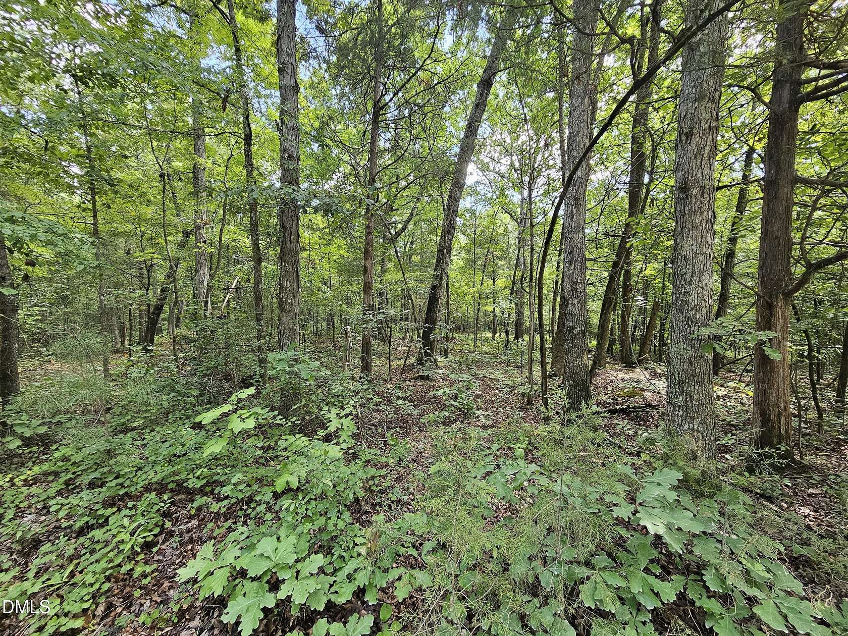 10.7 Acres of Land for Sale in Pittsboro, North Carolina