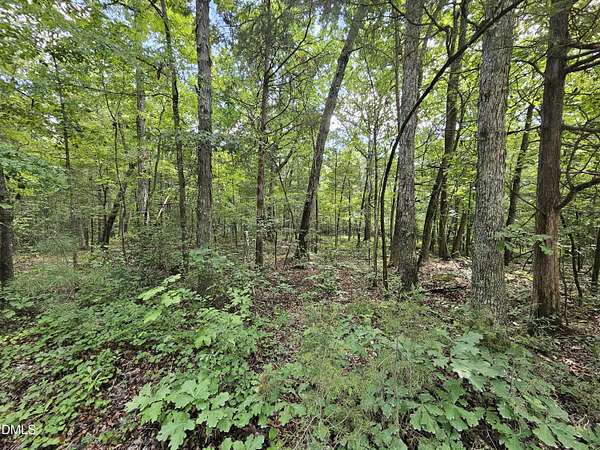 10.7 Acres of Land for Sale in Pittsboro, North Carolina