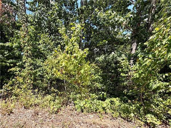 0.29 Acres of Residential Land for Sale in Bella Vista, Arkansas