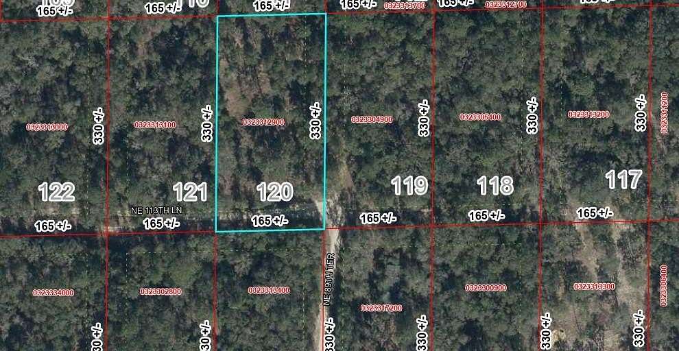 1.25 Acres of Land for Sale in Bronson, Florida