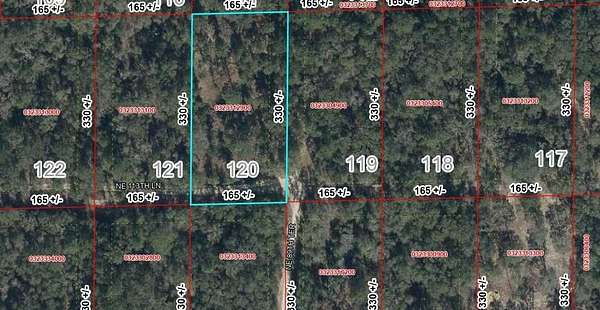1.25 Acres of Land for Sale in Bronson, Florida