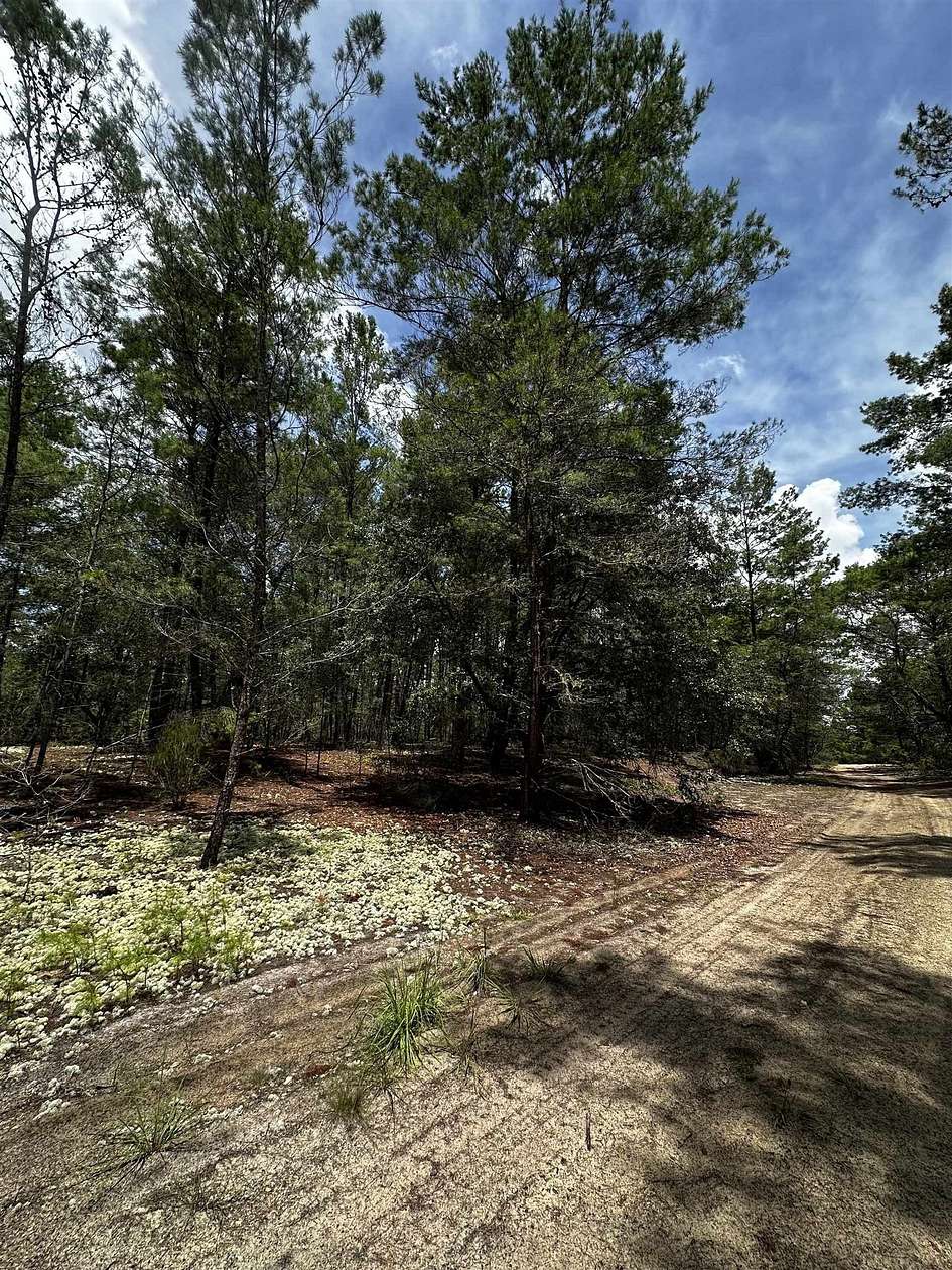 0.17 Acres of Residential Land for Sale in Florahome, Florida
