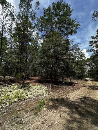 0.17 Acres of Residential Land for Sale in Florahome, Florida