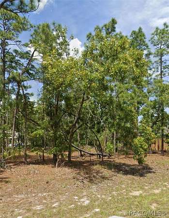 0.23 Acres of Residential Land for Sale in Citrus Springs, Florida