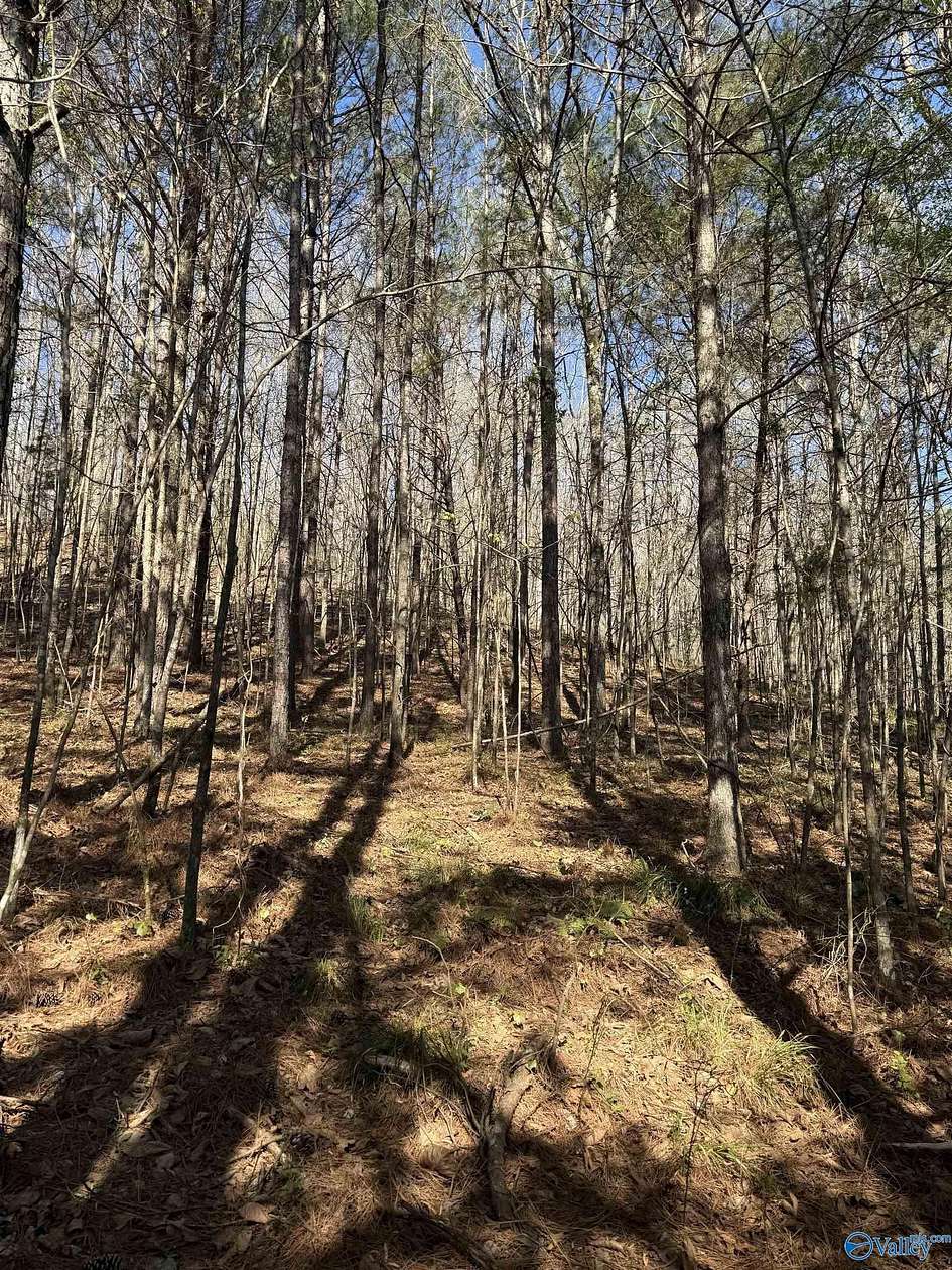 2.14 Acres of Land for Sale in Arley, Alabama