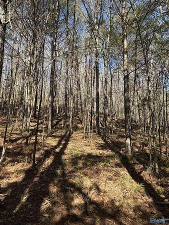 2.14 Acres of Land for Sale in Arley, Alabama