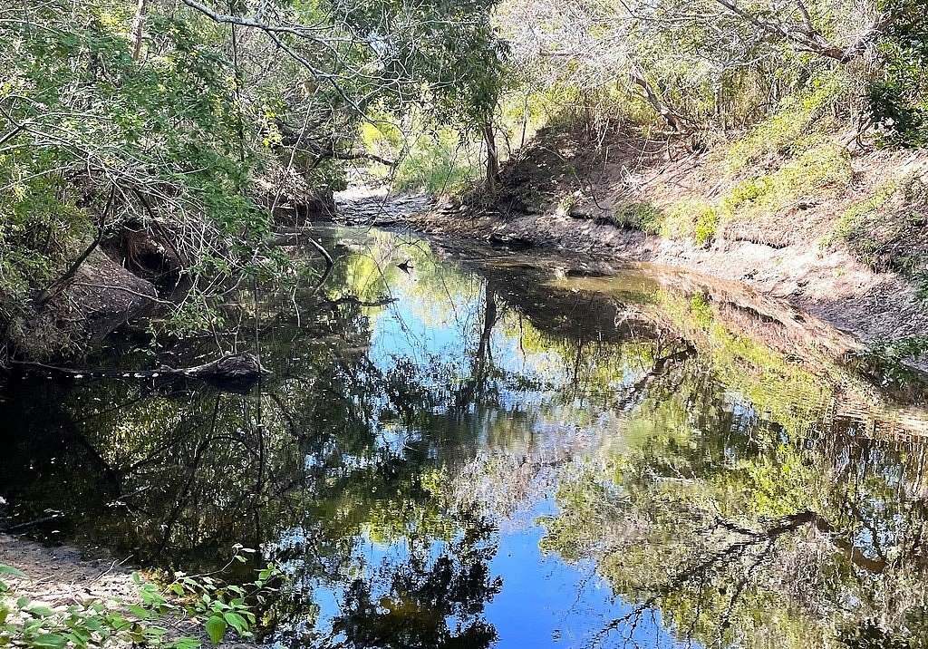 11.6 Acres of Recreational & Residential Land for Sale in Hallettsville, Texas