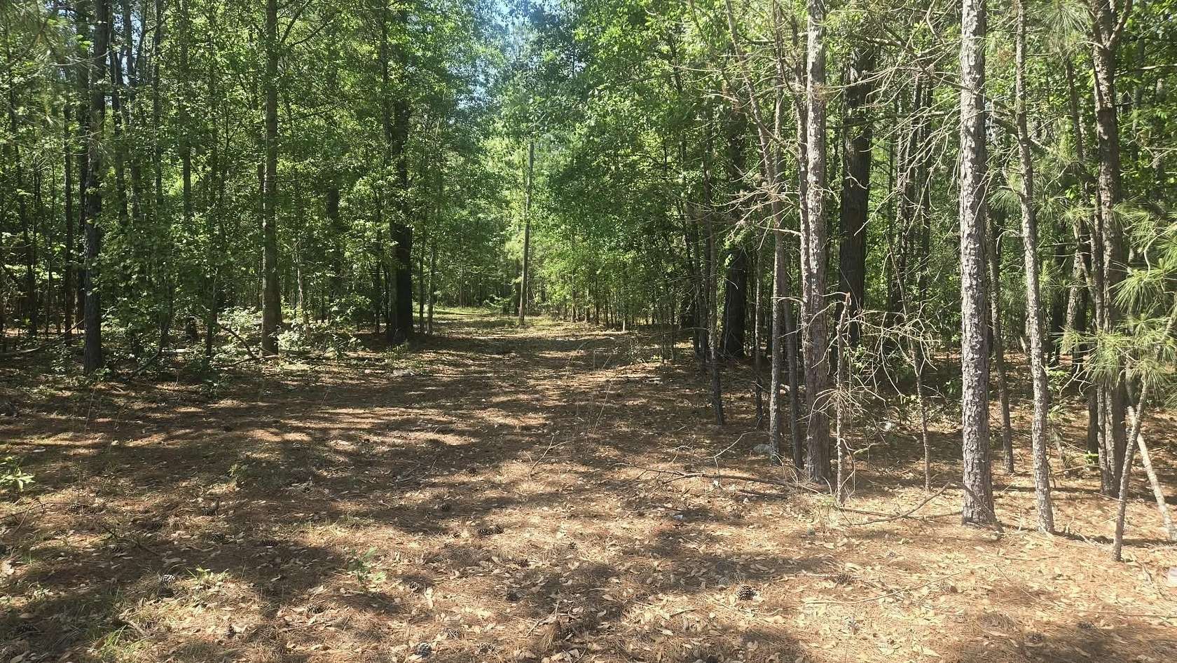 15.2 Acres of Land for Sale in Sumter, South Carolina