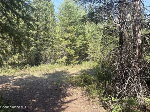 0.63 Acres of Residential Land for Sale in Spirit Lake, Idaho