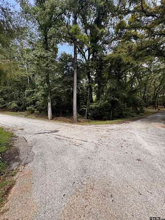 0.2 Acres of Land for Sale in Flint, Texas