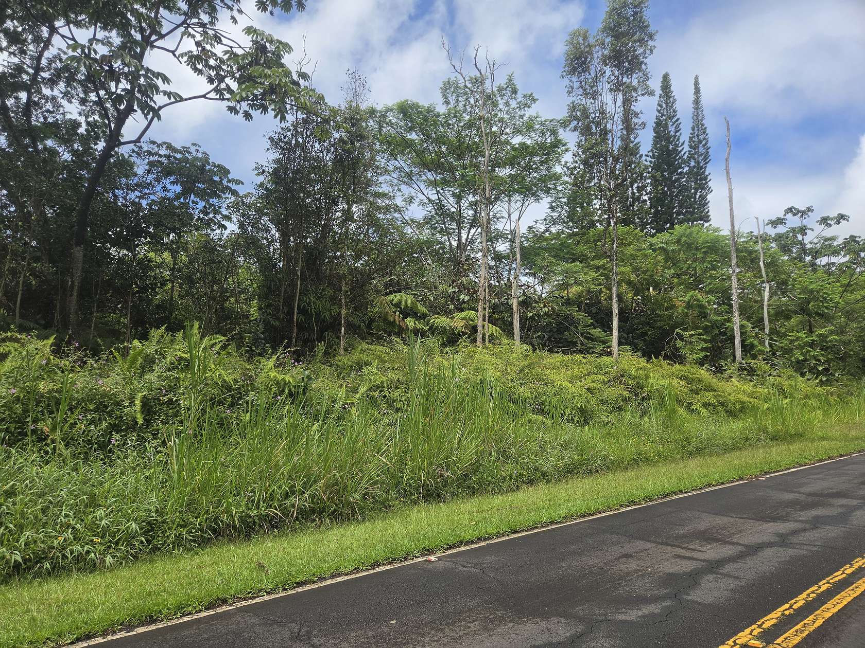 1 Acre of Residential Land for Sale in Pahoa, Hawaii