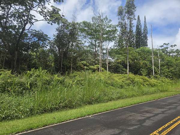 1 Acre of Residential Land for Sale in Pahoa, Hawaii