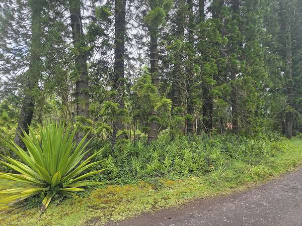 2.67 Acres of Residential Land for Sale in Kurtistown, Hawaii