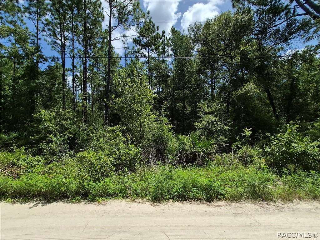 1 Acre of Residential Land for Sale in Crystal River, Florida