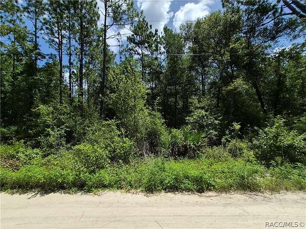 1 Acre of Residential Land for Sale in Crystal River, Florida