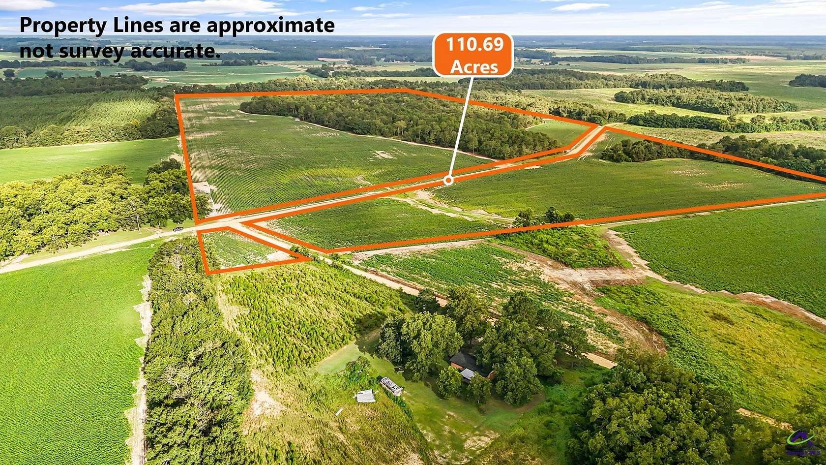 110 Acres of Recreational Land for Sale in Vienna, Georgia