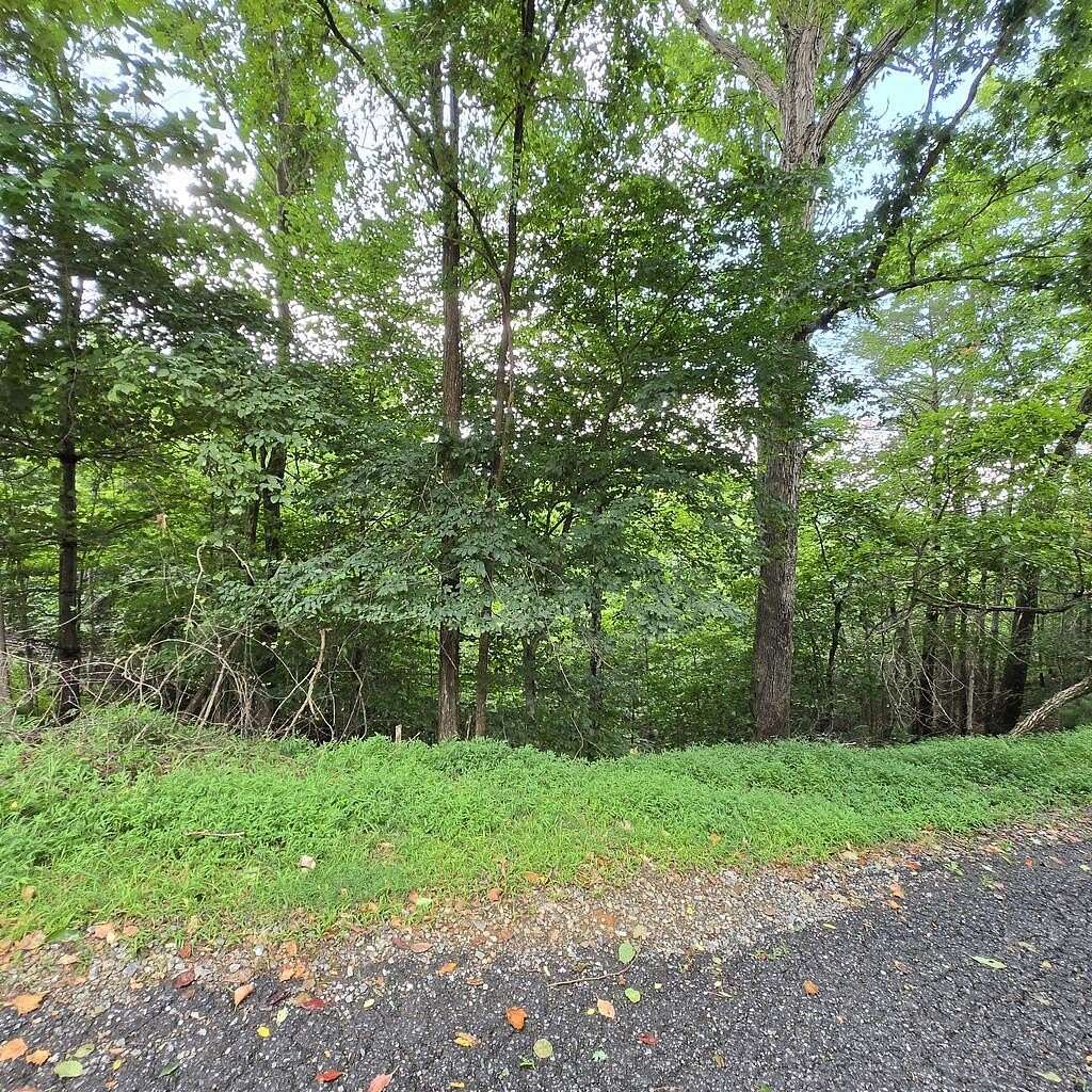 0.83 Acres of Land for Sale in Blue Ridge, Georgia