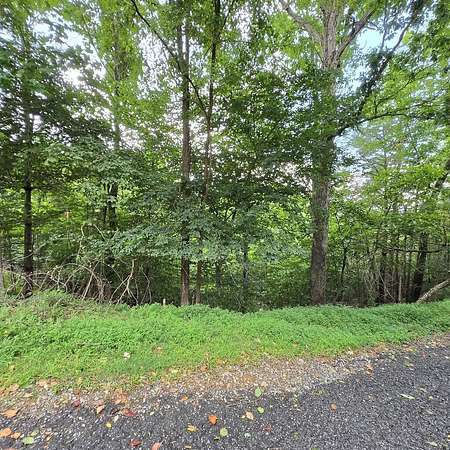 0.83 Acres of Land for Sale in Blue Ridge, Georgia
