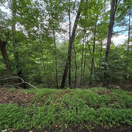 0.83 Acres of Land for Sale in Blue Ridge, Georgia