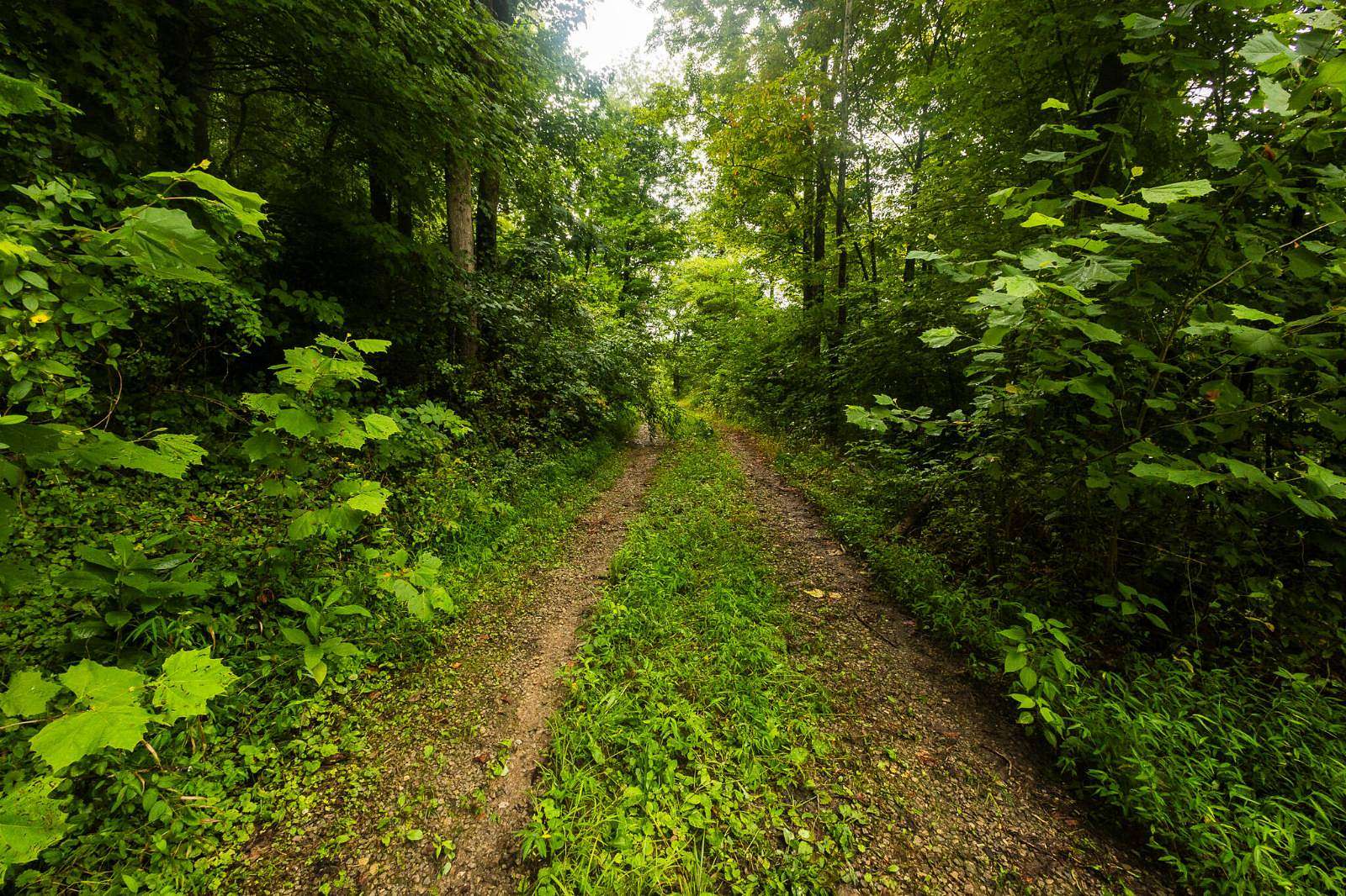67 Acres of Recreational Land for Sale in Bidwell, Ohio