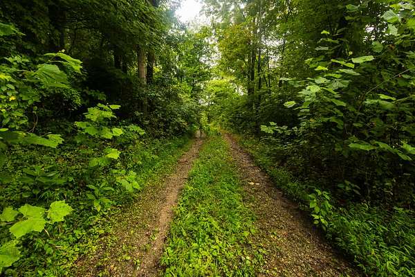 67 Acres of Recreational Land for Sale in Bidwell, Ohio