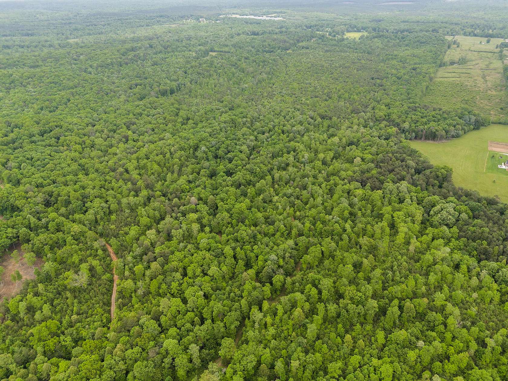 45 Acres of Recreational & Residential Land for Sale in Gruetli-Laager, Tennessee