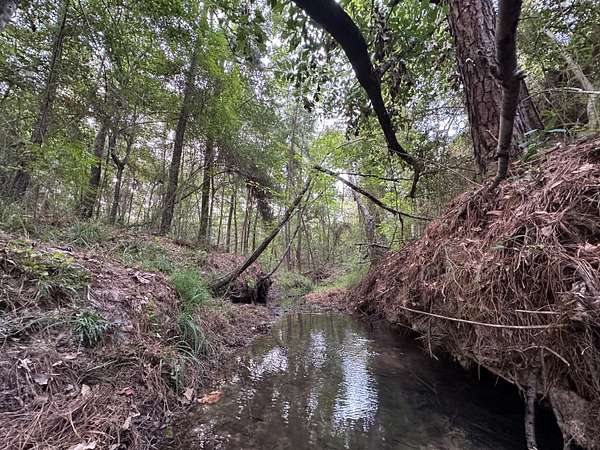 63.8 Acres of Land for Sale in Carlisle, Texas