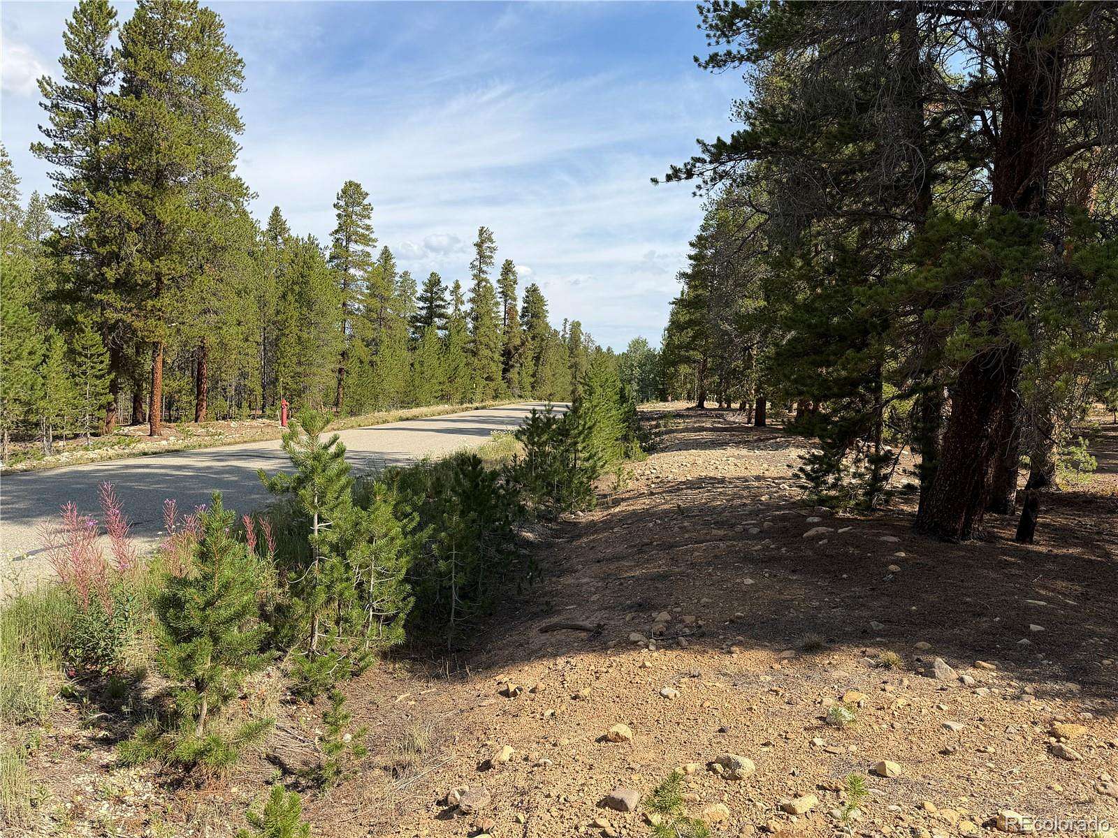 0.55 Acres of Residential Land for Sale in Leadville, Colorado