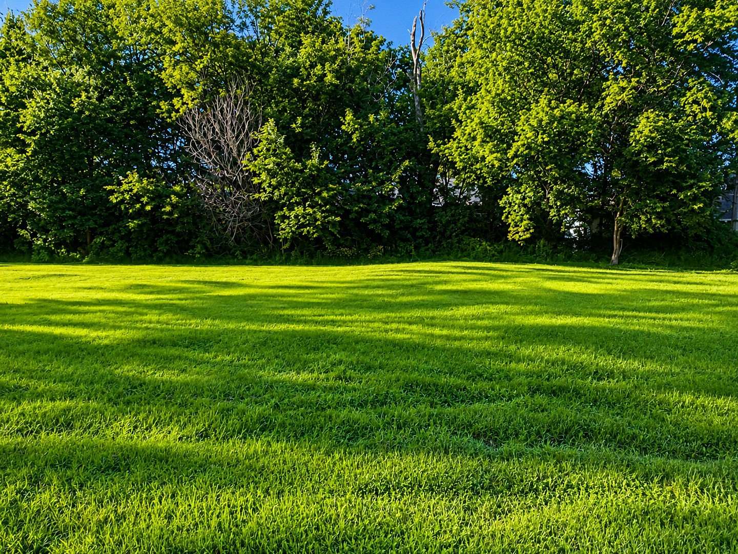 0.21 Acres of Residential Land for Sale in Aurora, Illinois