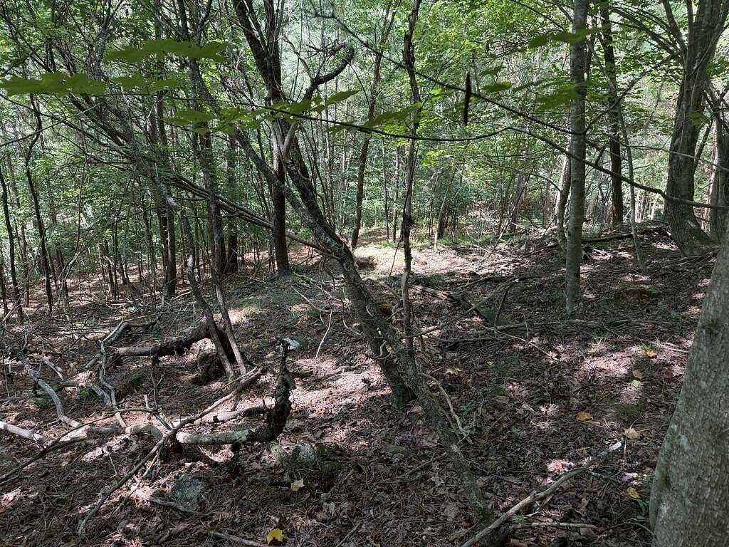 1 Acre of Residential Land for Sale in Blairsville, Georgia