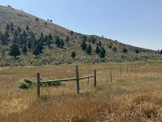 20.4 Acres of Recreational & Residential Land for Sale in Bancroft, Idaho