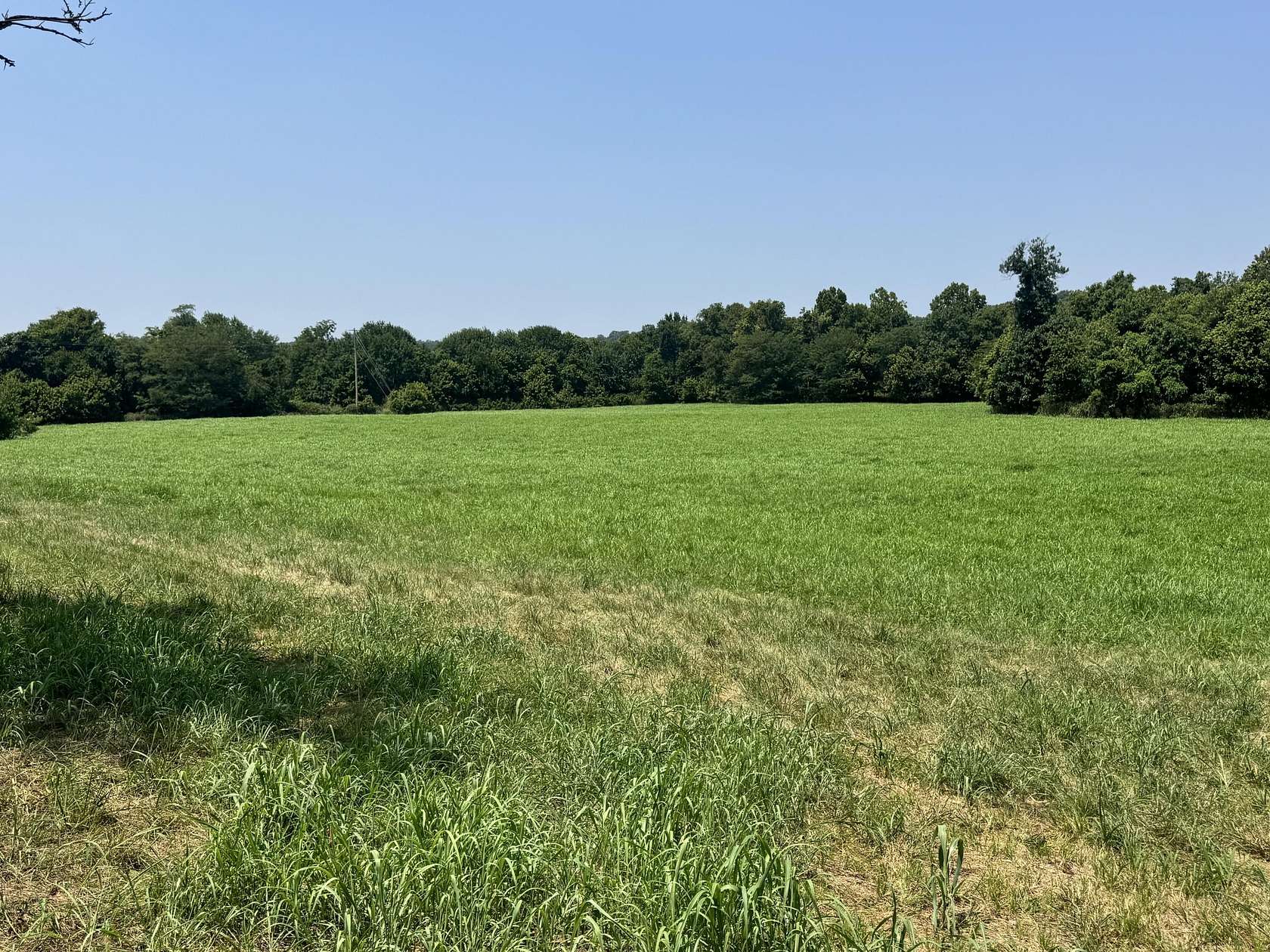 32.4 Acres of Land for Sale in Pineville, Missouri