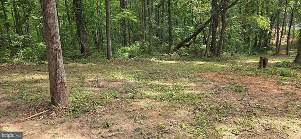 4.69 Acres of Residential Land for Sale in Culpeper, Virginia
