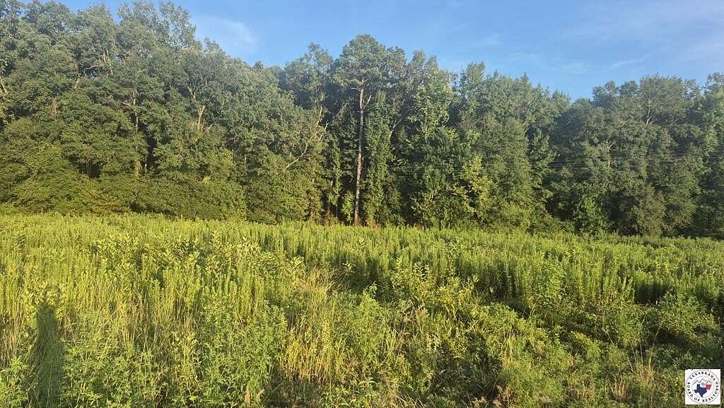 25 Acres of Recreational & Residential Land for Sale in Simms, Texas