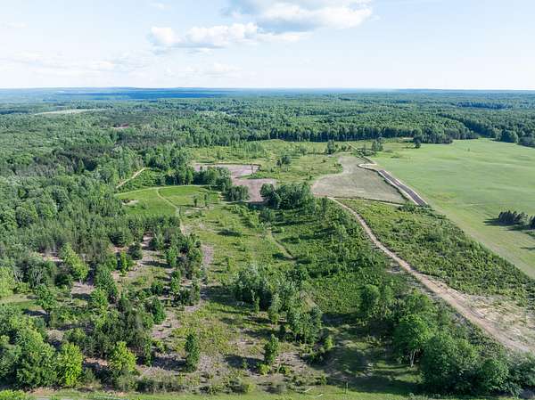 85.9 Acres of Recreational Land for Sale in Mesick, Michigan