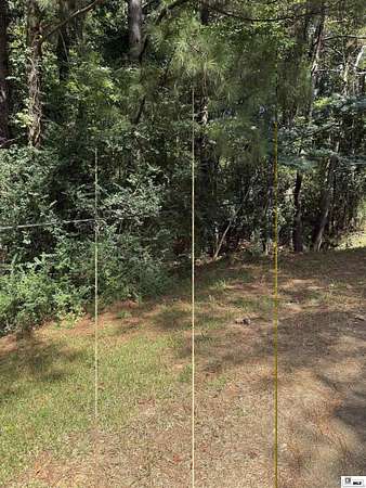 Land for Sale in Hodge, Louisiana