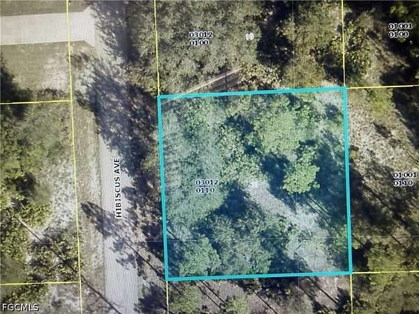 0.25 Acres of Residential Land for Sale in Lehigh Acres, Florida