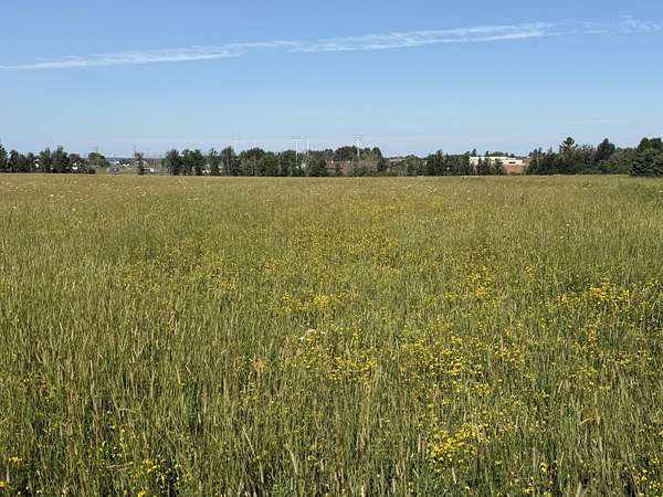 3.2 Acres of Residential Land for Sale in Pickford, Michigan