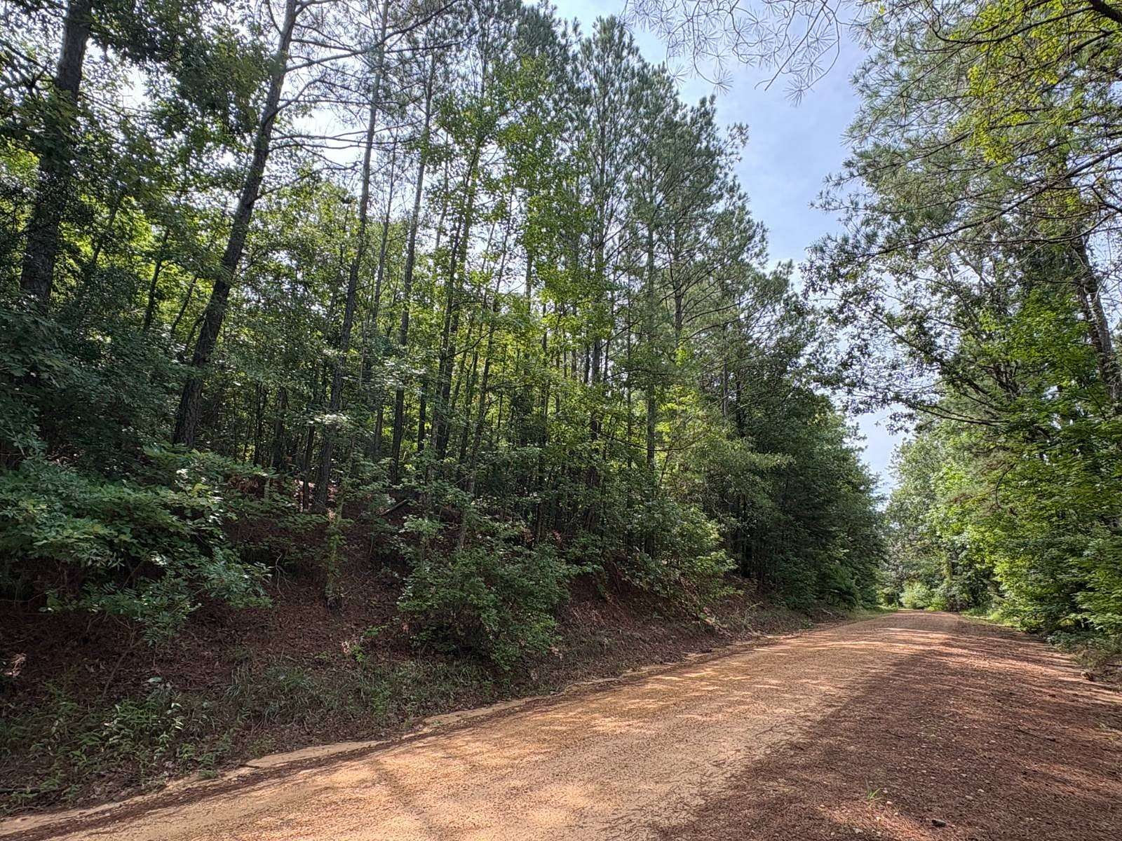 19 Acres of Recreational Land for Sale in Sulligent, Alabama