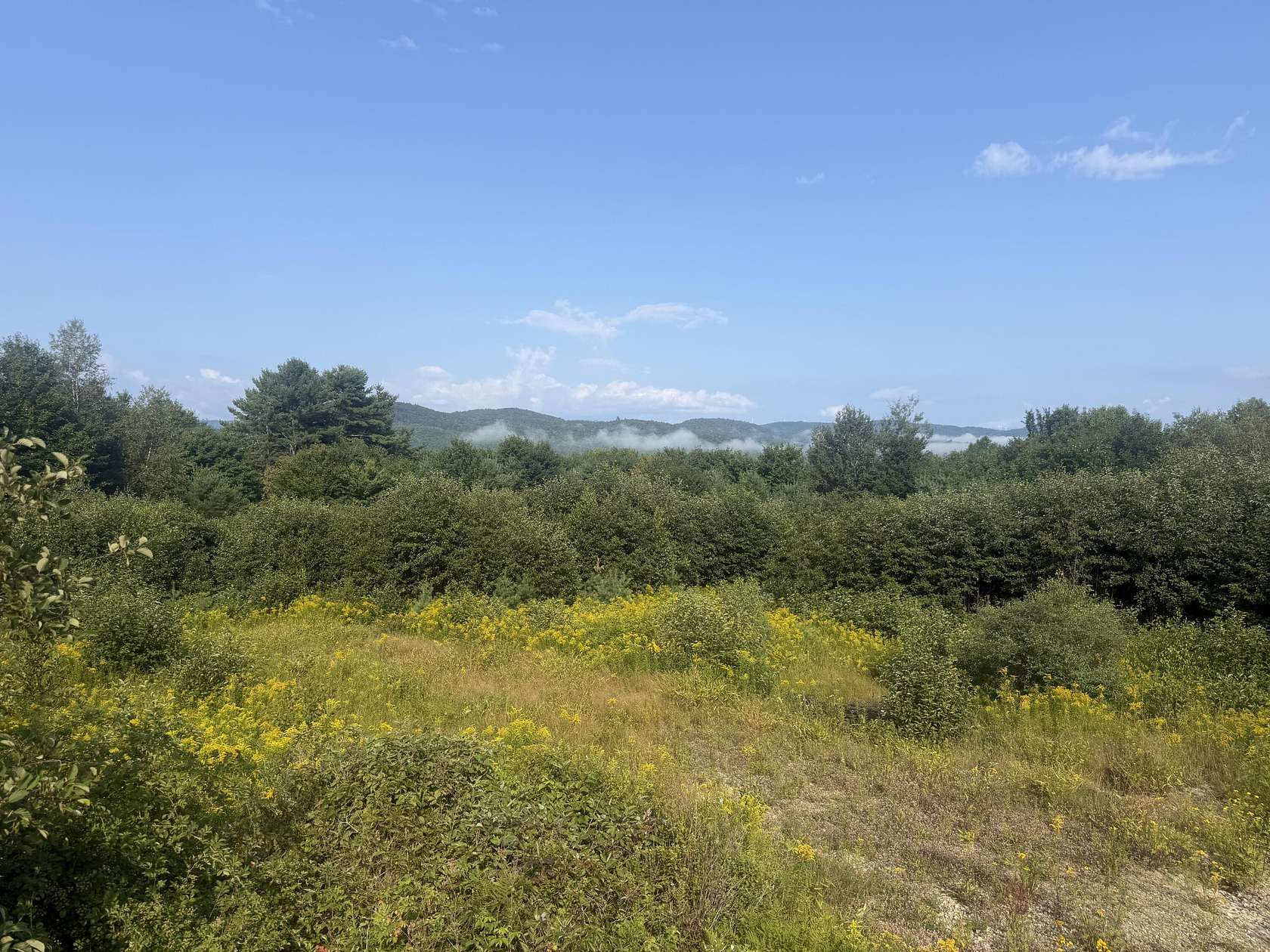 6.34 Acres of Residential Land for Sale in Dixfield, Maine