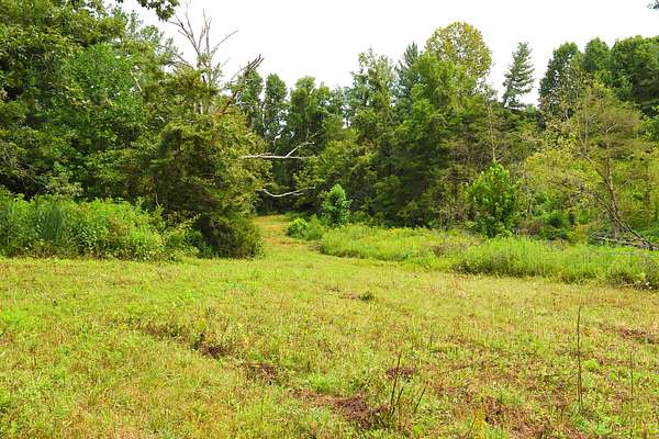 4.75 Acres of Land for Sale in Edmonton, Kentucky