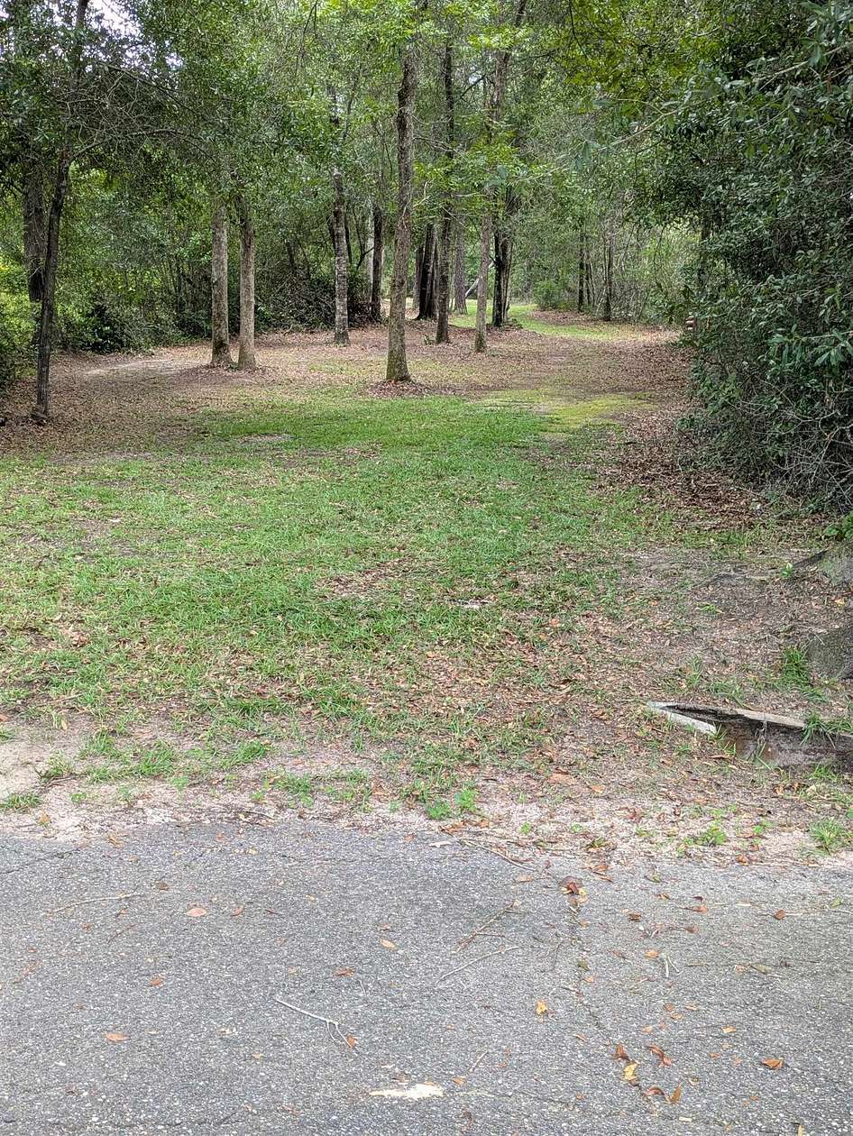 10 Acres of Recreational & Residential Land for Sale in Chattahoochee, Florida