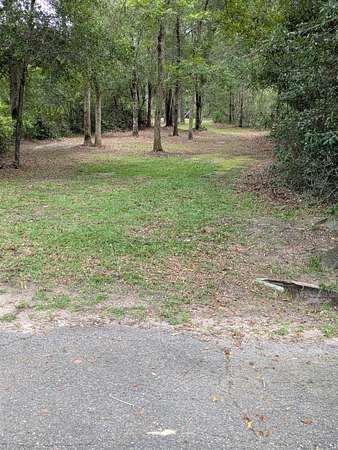 10 Acres of Recreational & Residential Land for Sale in Chattahoochee, Florida