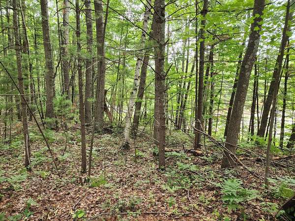 0.51 Acres of Residential Land for Sale in Rhinelander, Wisconsin