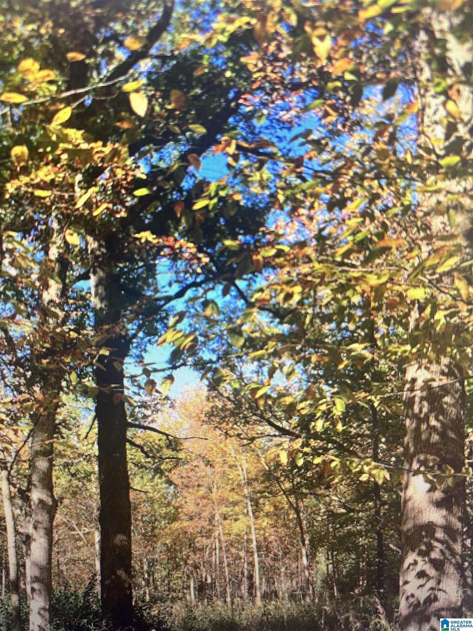 5.5 Acres of Residential Land for Sale in Bessemer, Alabama